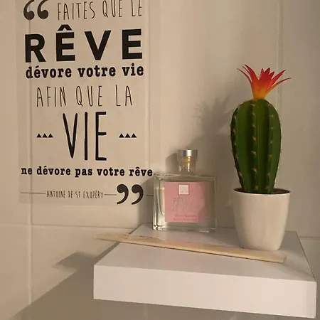 Apartamento Cosy Studio Perpiñán
